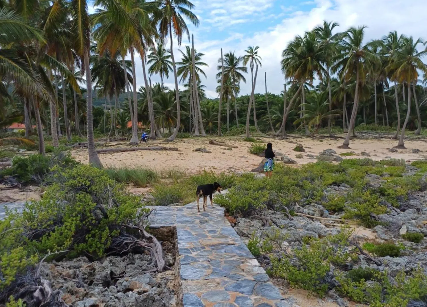 Willa Mangobich Punta Balandra